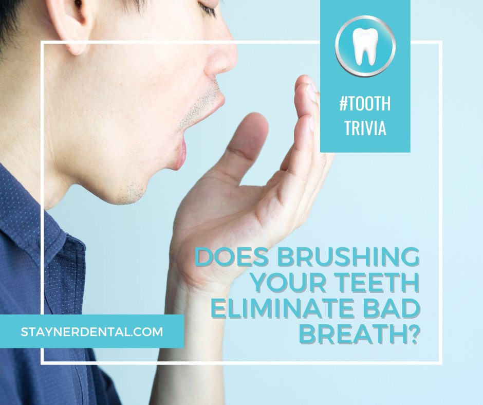 staynerdental's tweet image. #toothtrivia Does brushing along eliminate bad breath? Unfortunately, no! Most people brush their teeth for 30 to 45 seconds, which simply isn't enough.  Brush for at least 2 full minutes twice per a day, including your tongue and don't skip the floss!🦷
#marysvillewa