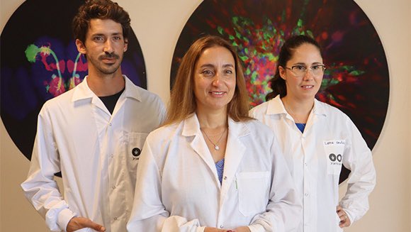 ابتكار اسرائيلي يحظى باهتمام العالمنجح باحثون من  جامعة تل ابيب في إبطاء انتشار سرطان
