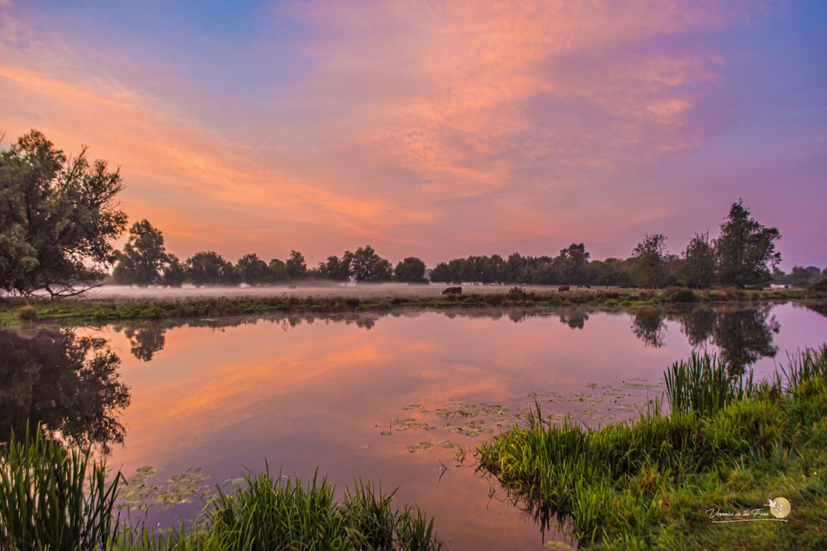 VeronicaJoPo's tweet photo. The wonderful sky over the magical Fens today 💛🧡❤️💜
River Great Ouse in Ely, Cambridgeshire #sunrise #thefens #magicaldays 
@SpottedInEly @StormHour @ChrisPage90 @WeatherAisling https://t.co/5llr37xrV5