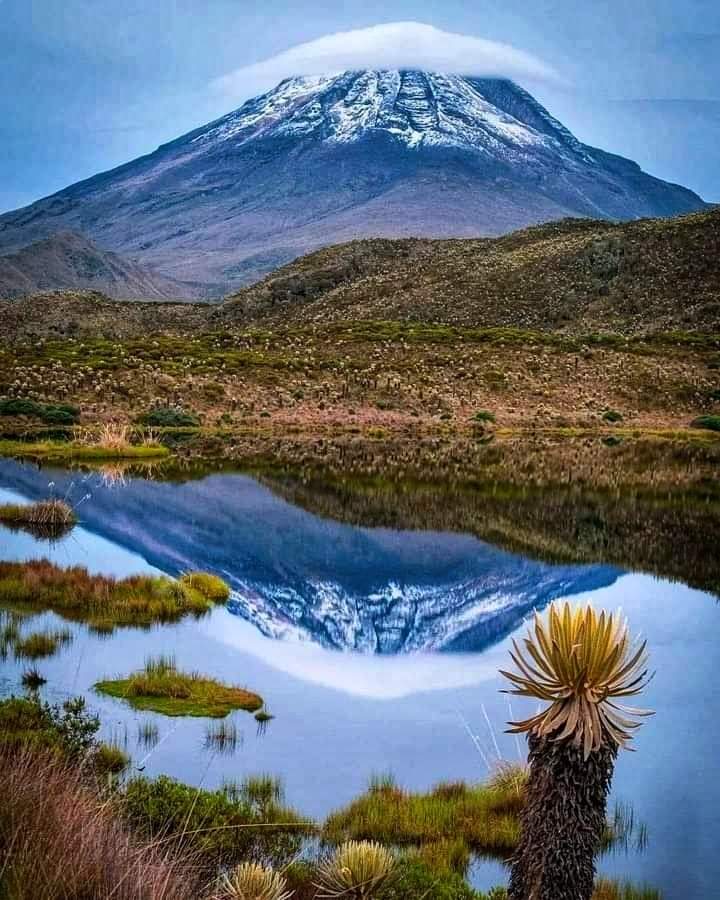 fusagasuganoti's tweet photo. I B A G U É 🌄❤️🏔️

🏔️🌄😍
Mágico e imponente #nevadodeltolima

Créditos CristianAlarcon

 #campo #paisajes #colombiatravel #colombiaphotography #turismo #cultura #colombia #EsColombia https://t.co/EEZSzuU7gL