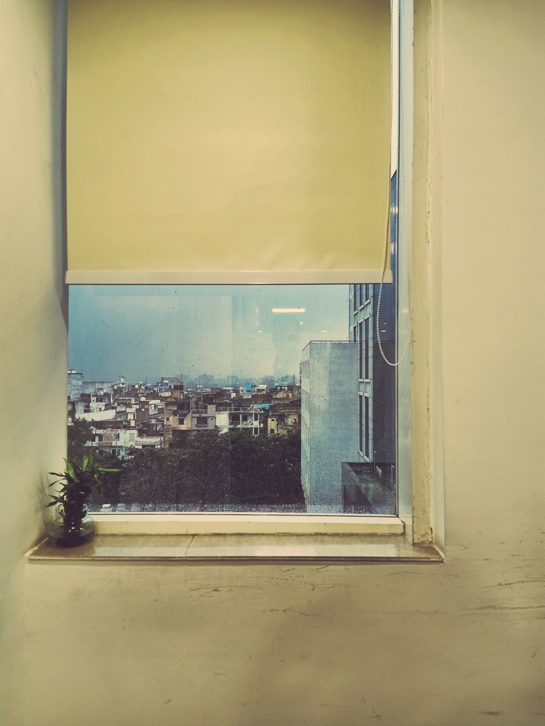 thatcrickettguy's tweet photo. Office aesthetics! ๐ค๐ผ
#onpriority https://t.co/9HlLoxhxW3
