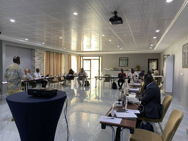 sivioinstitute's tweet photo. Today, @sivioinstitute is in #Lusaka for an advocacy workshop with 14 Zambian organisations around the African Citizens Watch Policy Tracker. 
#TowardsAnInclusiveSociety #advocacy

@ti_zambia @AAAZambia @FIAZambia @ZambiaAsks @GearsZambia and the Albinism Foundation of Zambia https://t.co/N8Gga1S9tx