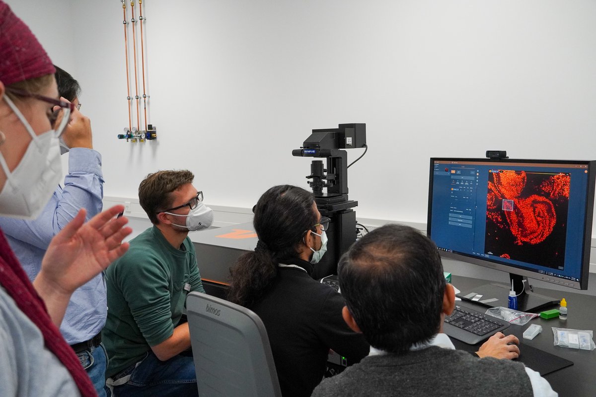 MeschkatMartin's tweet photo. More images we acquired during our joint workshop #EMBLSTED_MINFLUX at @EmblImaging @Abberior 

Enjoy some impressions from our session on TISSUE #STED 
Swipe right for #STED &amp; #confocal image.
@EMBLEvents @EMBLHeidelberg

#microscopy #superresolution #MATRIX #3DSTED #Drosophila https://t.co/DfIOsjSx5q