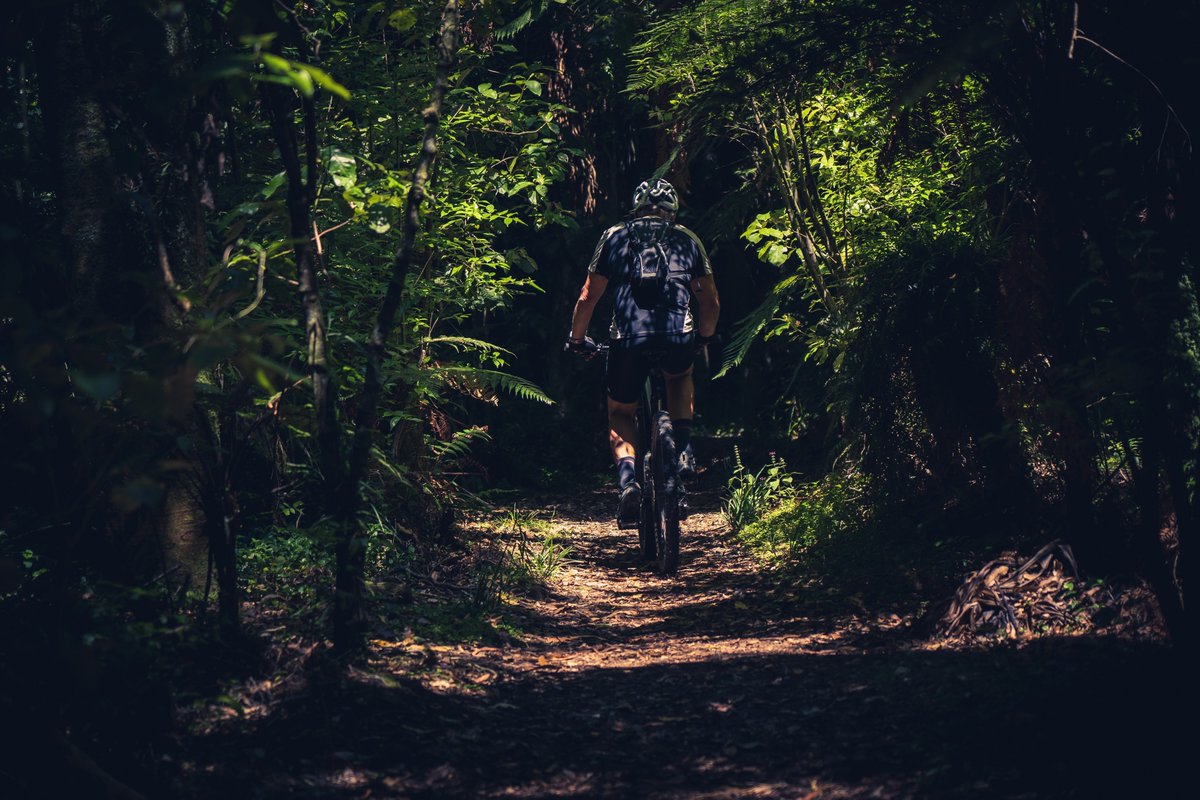 DevonLNP's tweet photo. It's World Car Free Day! If you cycle, be sure to check out Travel Devon's map helping you plan your routes: https://t.co/aqI5jCO26a Breathe in the air today knowing you've helped make it cleaner! #CarFree #ClimateAction #CycleDevon #NatureandClimate
#Devon @devonclimate https://t.co/J8m8V5Ojx9