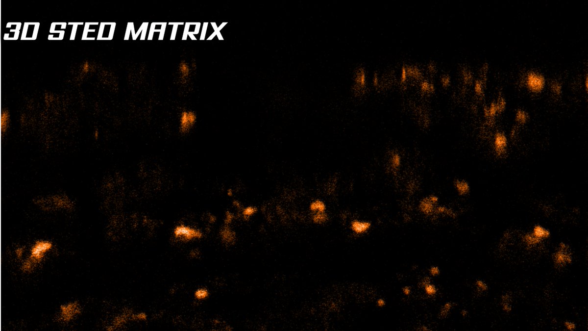MeschkatMartin's tweet photo. More images we acquired during our joint workshop #EMBLSTED_MINFLUX at @EmblImaging @Abberior 

Enjoy some impressions from our session on TISSUE #STED 
Swipe right for #STED &amp; #confocal image.
@EMBLEvents @EMBLHeidelberg

#microscopy #superresolution #MATRIX #3DSTED #Drosophila https://t.co/DfIOsjSx5q