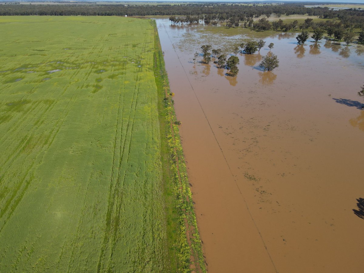 Dave_Newbigging tweet media