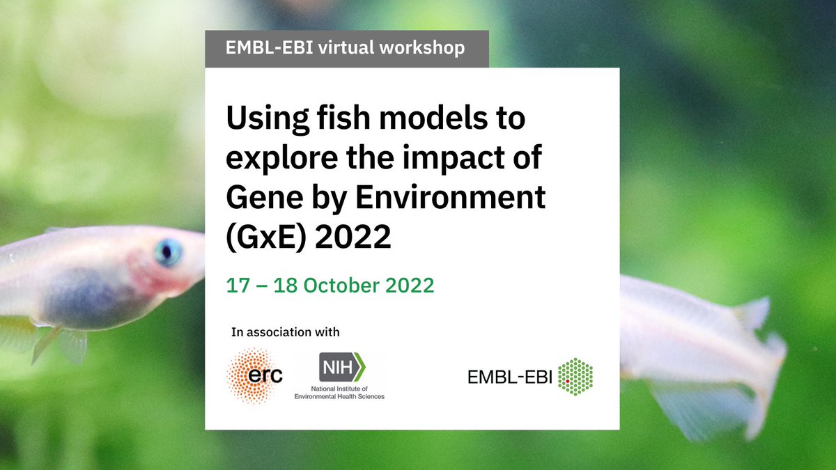 EMBL-EBI Training (@ebitraining) on Twitter photo Are you a scientific researcher with experience in using #fishmodels for #genetic & #phenotypic analysis with an interest in Gene by Environment effects?
📅 17 – 18 October
👥In association with @NIEHS & <a href="/ERC_Research/">European Research Council (ERC)</a>.
🔗Register for our free workshop: ebi.ac.uk/training/event… Are you a scientific researcher with experience in using #fishmodels for #genetic & #phenotypic analysis with an interest in Gene by Environment effects?
📅 17 – 18 October
👥In association with @NIEHS & <a href="/ERC_Research/">European Research Council (ERC)</a>.
🔗Register for our free workshop: ebi.ac.uk/training/event…