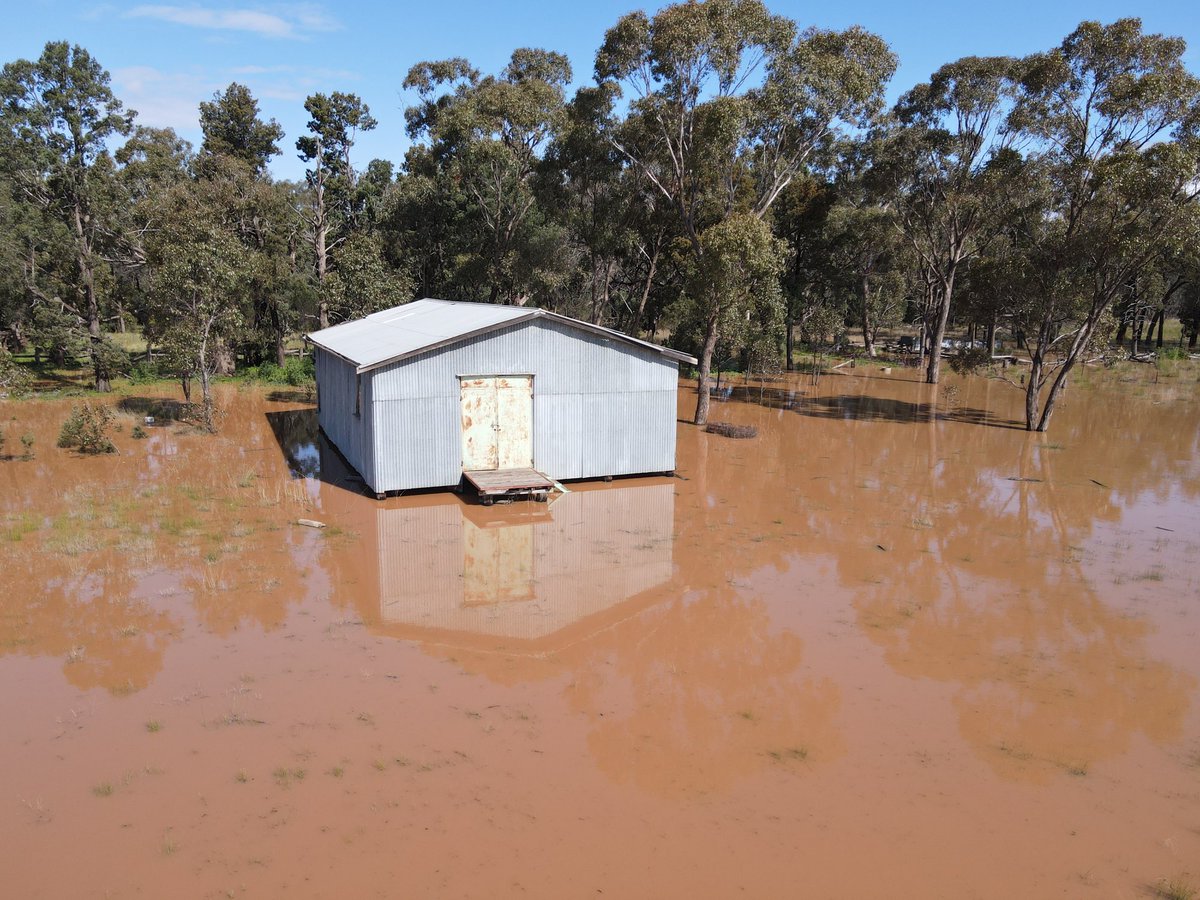 Dave_Newbigging tweet media