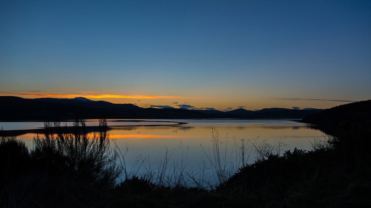 Autumnal portent
The light is closing in such that Gill and my evening walks these days are often in the chilly dusk.  Occasionally however, we're rewarded by a wonderful clarity of silhouette against the remnant sky of a sun that has set.
🐾👣😊