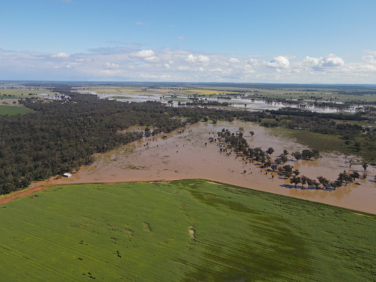 Dave_Newbigging tweet media