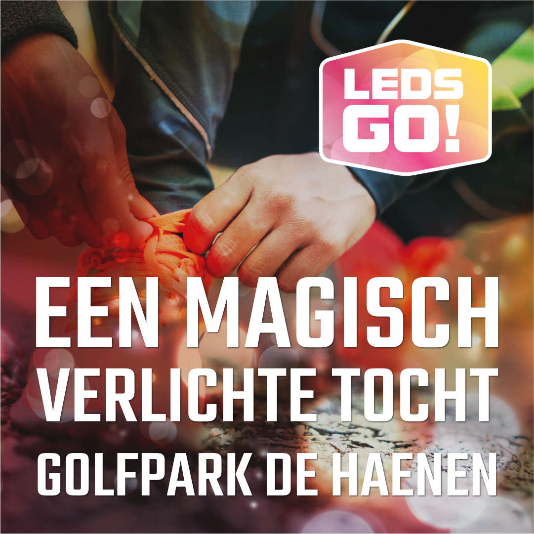Lions Breda Quatro tweet media