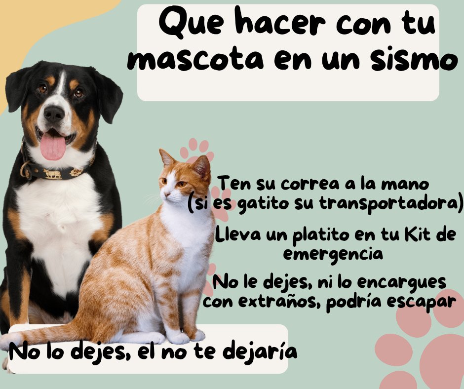No olviden a sus mascotas... #Sismomexico #sismo #Temblor