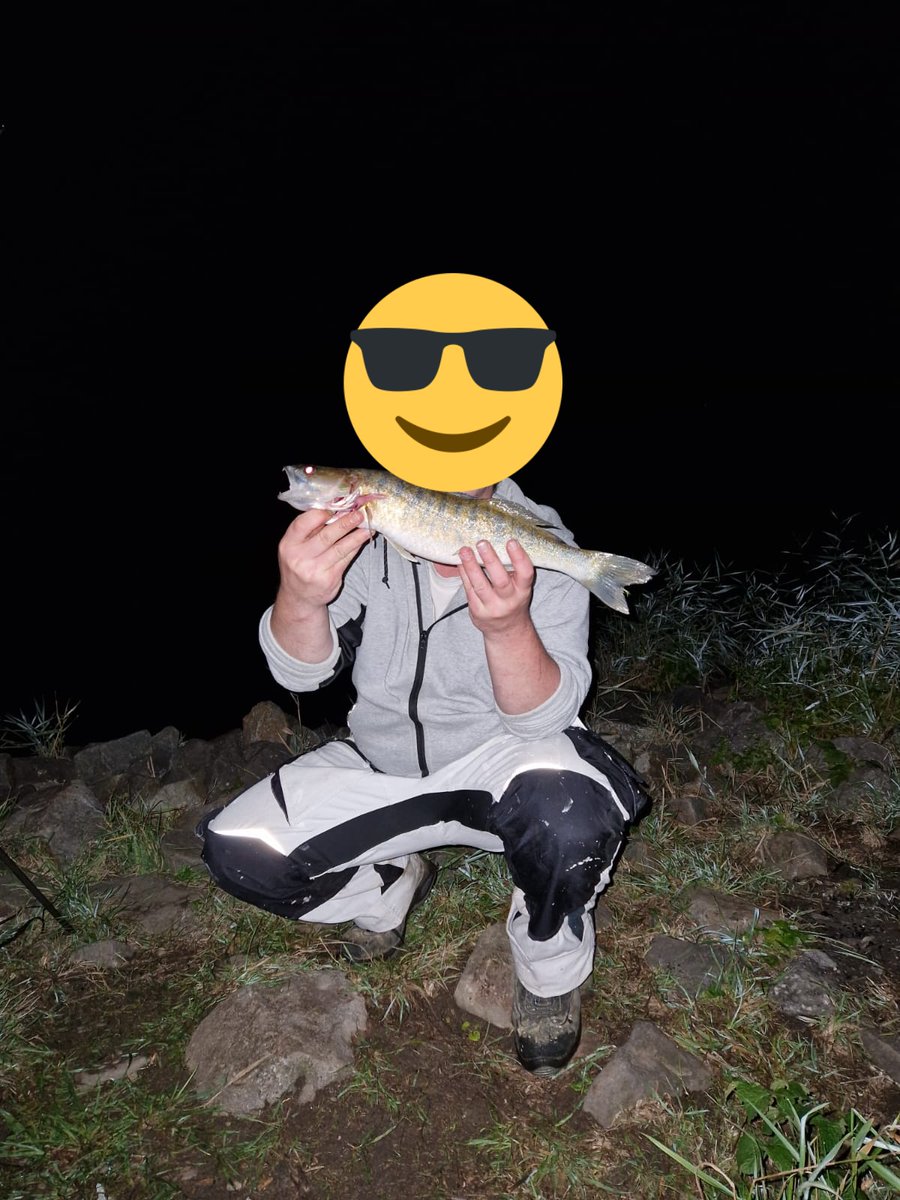 Benjami26855952's tweet photo. Schöner Zander #zander #weser #fisch #fisching #bremen #angeln #48cm https://t.co/ErIafxysVS