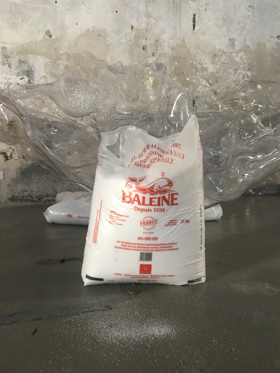 u2p050's tweet photo. Getting ready and salty for our next show in Arles, FR for @MondesNouveaux ! Thanks @octobre_num for hosting us 

#labaleine #Whale #ToTheMoon https://t.co/jTow7ABNVV