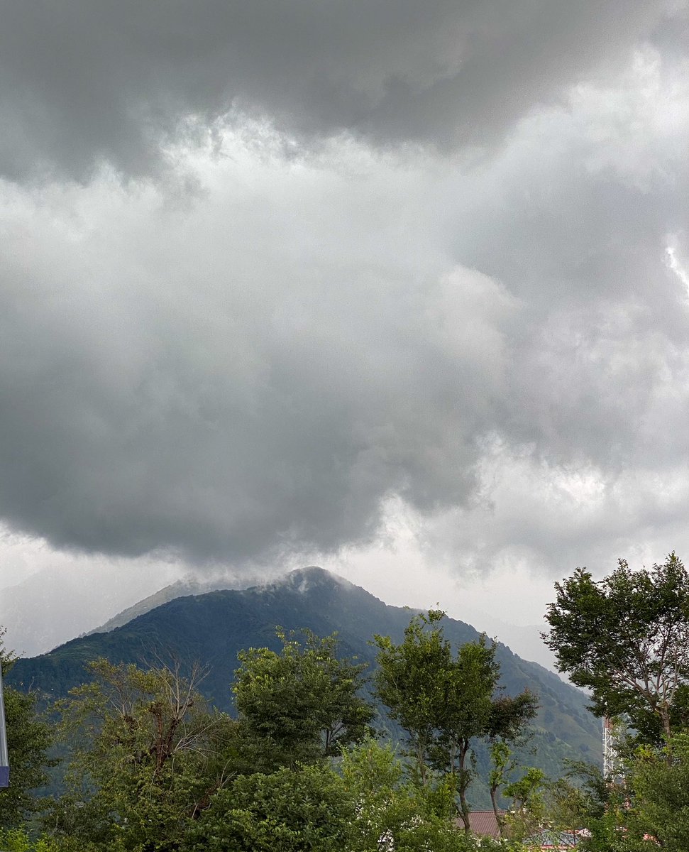 🫠🌧️

#HimachalPradesh #Palampur #Monsoons