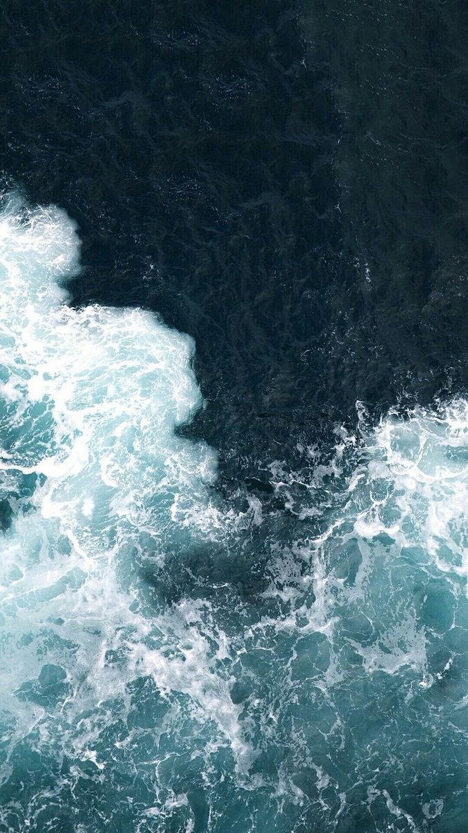 ackermankmb's tweet photo. 𝚃 𝙷 𝙴 𝙼 𝙴  𝙳 𝙰 𝚈!

𝕞𝕠𝕝𝕝𝕚𝕔𝕔𝕚𝕠 —> 𝕤𝕖𝕒 https://t.co/cqztkzJ6Ay
