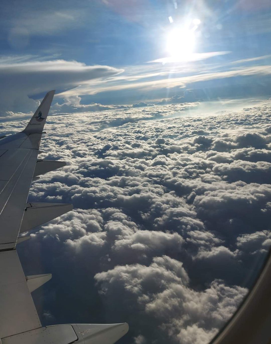 BOTONEY's tweet image. Fluffy dreams, check the bird 🤗  @Fly_Airlink

#FlyAirlink #Spring10k
#Competition #LoveTheLink