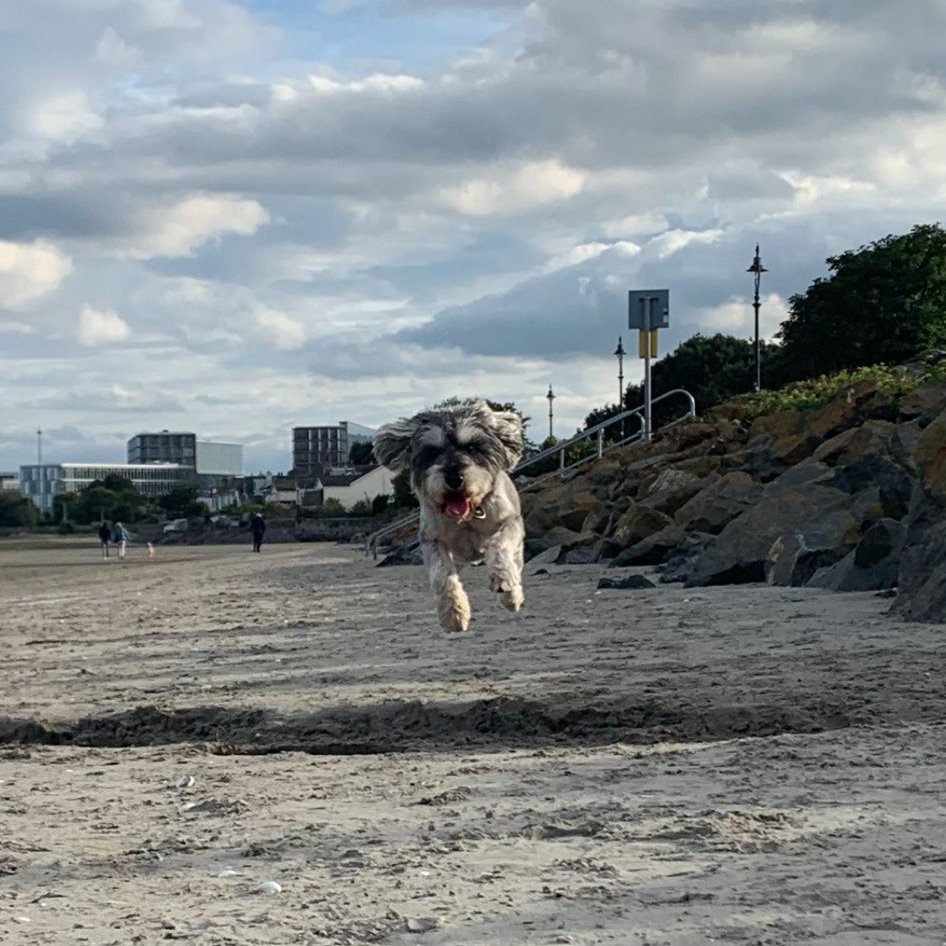 Garvan Grant tweet media