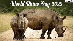 Henry Malumo (@henrymalumo) on Twitter photo Happy #rhinoday <a href="/nkwoolley/">Nicholas Woolley</a> <a href="/Nachilala/">Nachilala Nkombo</a> <a href="/BrianChilambe/">chilambe brian</a> <a href="/wwfzambia/">WWF Zambia</a> <a href="/MukelabaiIsabel/">Isabel Mukelabai</a> <a href="/AfricanParks/">African Parks</a> <a href="/GameRangersInt/">Game Rangers International</a> <a href="/SikumbaRodney/">Rodney Malindi Sikumba</a> <a href="/HHichilema/">Hakainde Hichilema</a> <a href="/HOT877Zambia/">HotFMZambia</a> @PaulShalalaZNBC <a href="/WWF/">WWF</a> <a href="/TeamSuluhuSamia/">Samia Suluhu (commentary)</a> <a href="/RhinosIRF/">IntlRhinoFoundation 🦏</a> <a href="/USAIDZambia/">USAID/Zambia</a> <a href="/serengetiwatch/">Serengeti Watch</a> <a href="/Livingstone_ZM/">Destination Livingstone</a> <a href="/TourismZambia/">Zambia Tourism</a> <a href="/HelpingRhinos/">Helping Rhinos 🦏</a> Happy #rhinoday <a href="/nkwoolley/">Nicholas Woolley</a> <a href="/Nachilala/">Nachilala Nkombo</a> <a href="/BrianChilambe/">chilambe brian</a> <a href="/wwfzambia/">WWF Zambia</a> <a href="/MukelabaiIsabel/">Isabel Mukelabai</a> <a href="/AfricanParks/">African Parks</a> <a href="/GameRangersInt/">Game Rangers International</a> <a href="/SikumbaRodney/">Rodney Malindi Sikumba</a> <a href="/HHichilema/">Hakainde Hichilema</a> <a href="/HOT877Zambia/">HotFMZambia</a> @PaulShalalaZNBC <a href="/WWF/">WWF</a> <a href="/TeamSuluhuSamia/">Samia Suluhu (commentary)</a> <a href="/RhinosIRF/">IntlRhinoFoundation 🦏</a> <a href="/USAIDZambia/">USAID/Zambia</a> <a href="/serengetiwatch/">Serengeti Watch</a> <a href="/Livingstone_ZM/">Destination Livingstone</a> <a href="/TourismZambia/">Zambia Tourism</a> <a href="/HelpingRhinos/">Helping Rhinos 🦏</a>