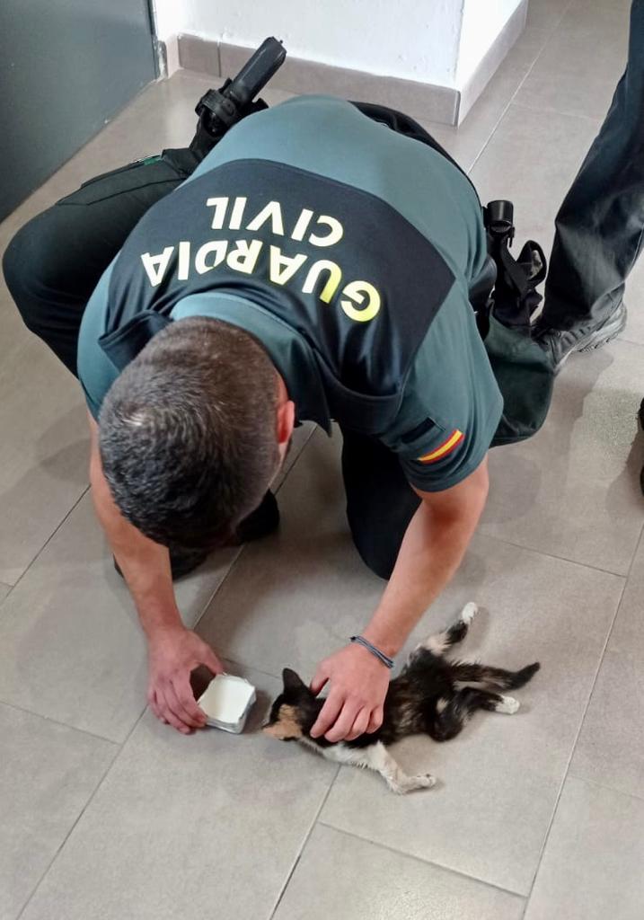 @guardiacivil's photo on Pronta