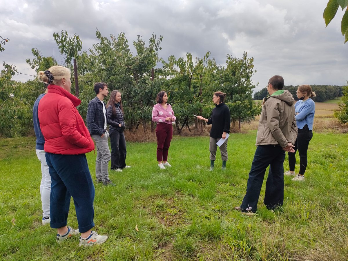 TessaAvermaete's tweet photo. sfere phd retraite #fermeframboos @bioeconKUL  Team: @erikmathijs @KatoVanRuymbeke @ErikaDeKeyser  @katrijncoeckelb @LGiacomella @MertijnM #MarcoMoretti #MargoHeremans #FrancescaVespa #sustainable #food #economies https://t.co/pGix6LMuW6