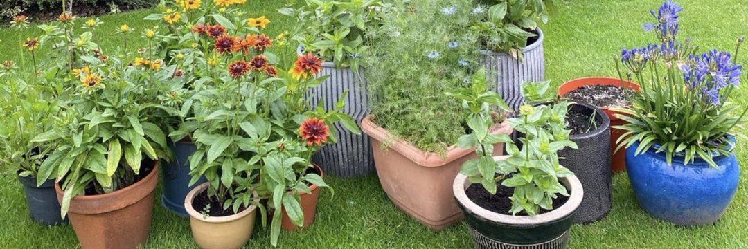 Roald erik (@roald_erik) on Twitter photo 