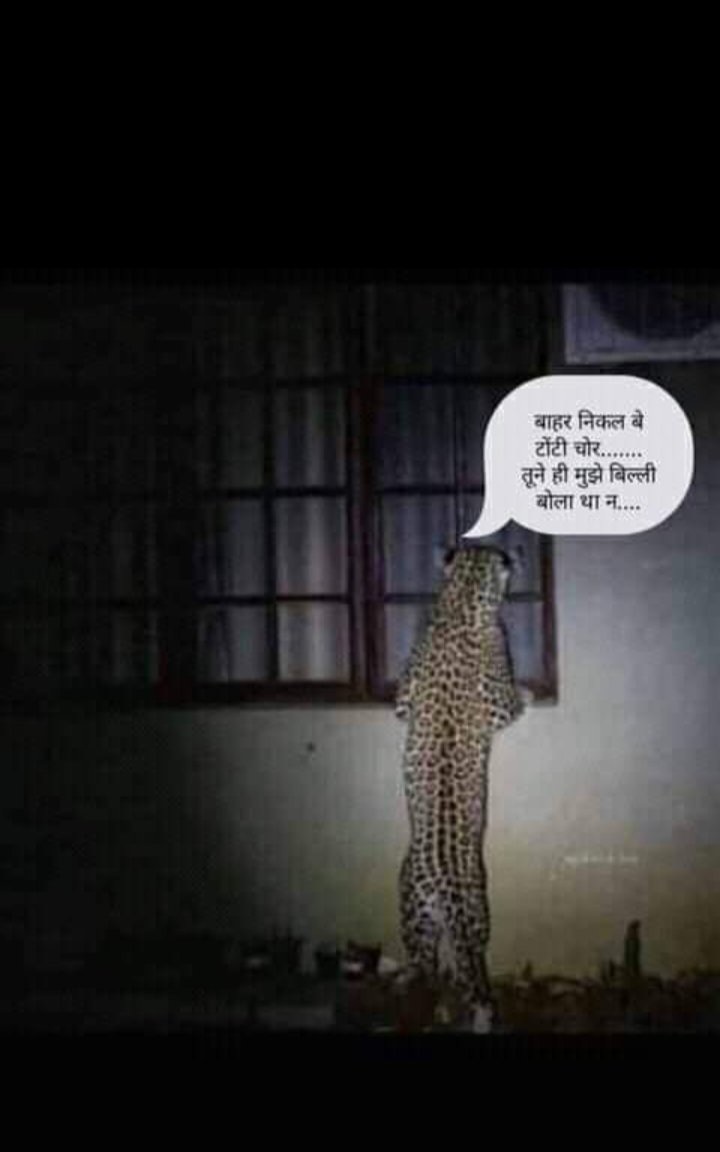 ATM_WhiteTiger's tweet photo. पगलेश यादव तो गयो 🤣 https://t.co/F6uBwc0OzU