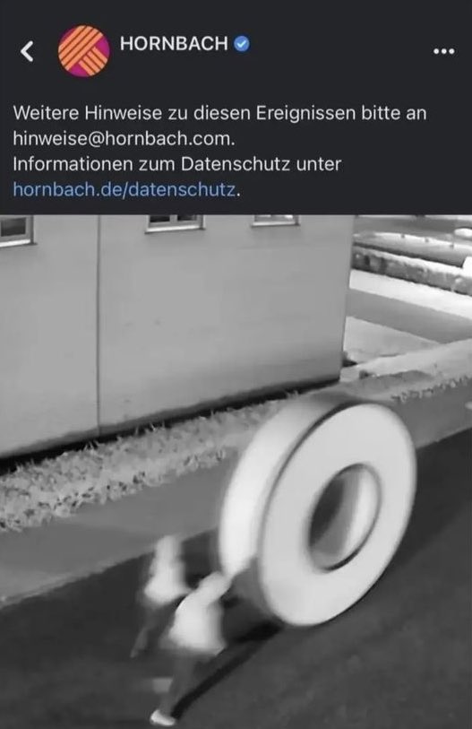 syrp ♛ tweet media