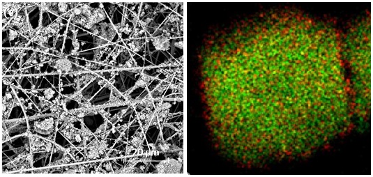 Damien Debecker (@deuxbeck) on Twitter photo Just out, in ApplCatalB:
"CO2 Methanation with Ru@MIL-101 Nanoparticles Fixated on Silica Nanofibrous Veils as Stand-Alone Structured Catalytic Carrier" sciencedirect.com/science/articl…
An study led by colleagues from Gent: <a href="/UGentTextiles/">UGentTextiles</a>, <a href="/COMOC_research/">Pascal Van Der Voort // COMOC research</a> Just out, in ApplCatalB:
"CO2 Methanation with Ru@MIL-101 Nanoparticles Fixated on Silica Nanofibrous Veils as Stand-Alone Structured Catalytic Carrier" sciencedirect.com/science/articl…
An study led by colleagues from Gent: <a href="/UGentTextiles/">UGentTextiles</a>, <a href="/COMOC_research/">Pascal Van Der Voort // COMOC research</a>