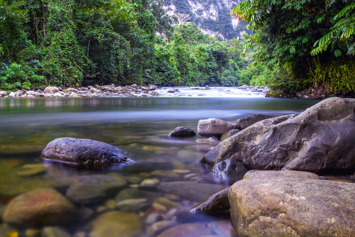 fieggentrio's tweet photo. Gunung Mulu National Park - Malaysia https://t.co/uewbd5jCMG
Important both for its high biodiversity and for its karst features, Gunung Mulu Nati...
5 wallpapers
#GunungMulu #Borneo #Sawarak #Malaysia #Maleisie #travel #tourism #UNESCO #werelderfgoed #WorldHeritage #世界遗产 https://t.co/TrpGqParqS