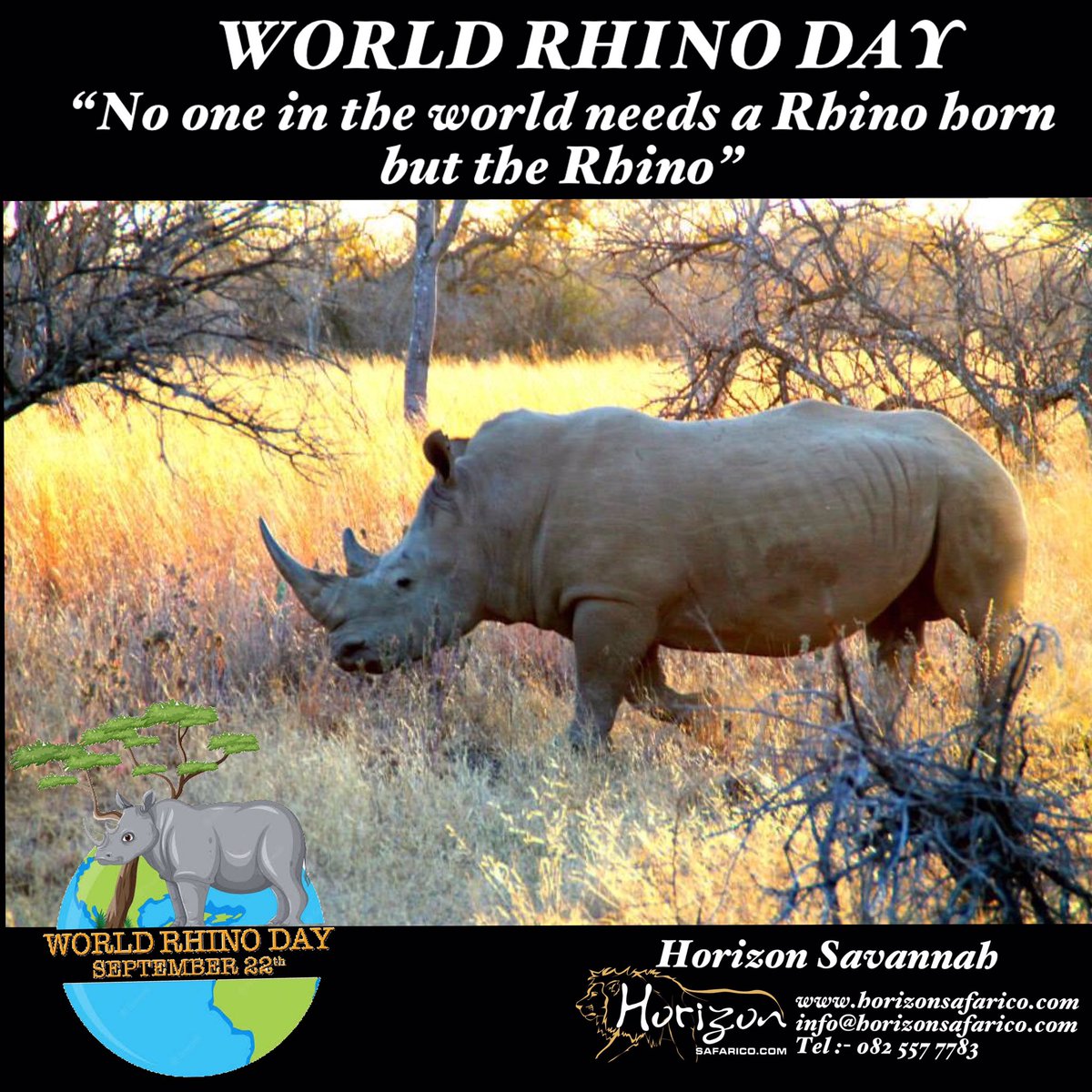 Today is World Rhino Day 🦏