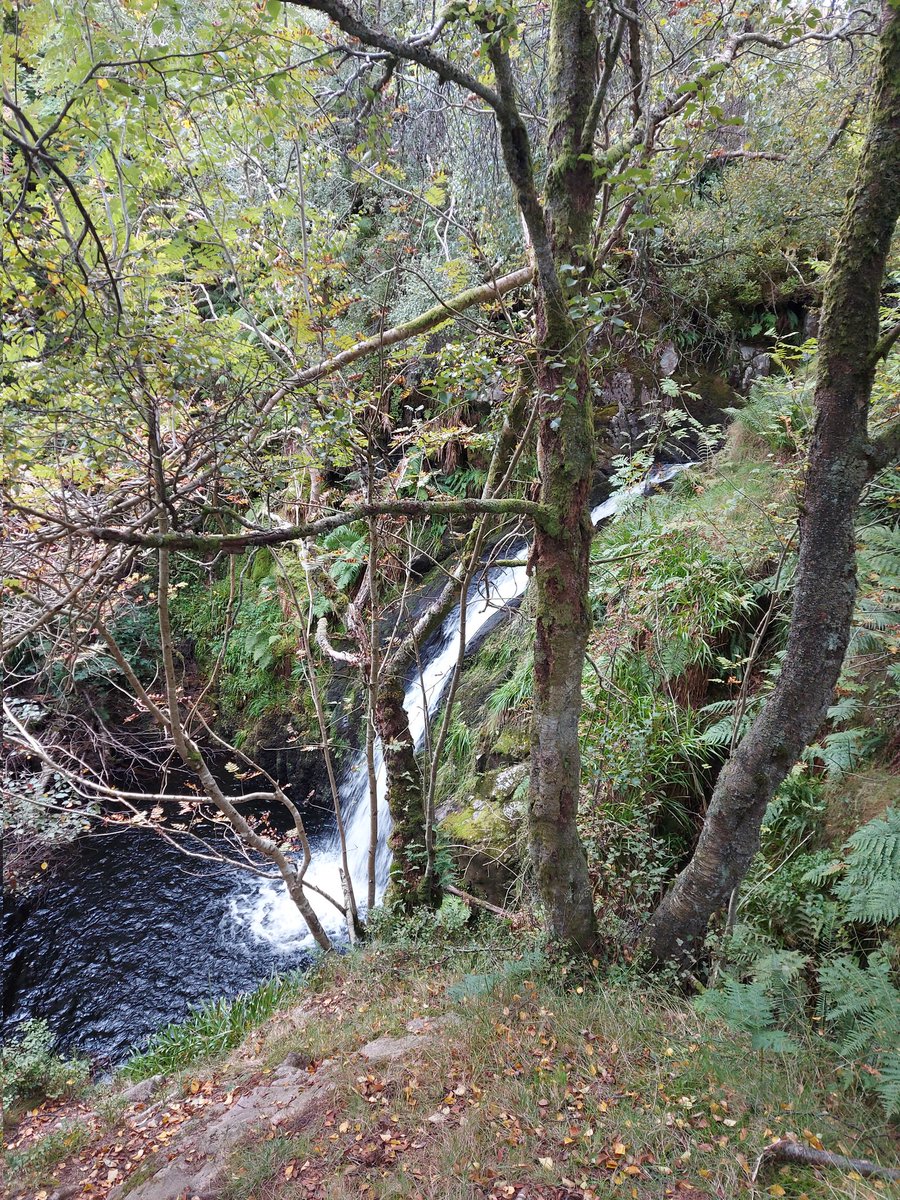 teesdaletweets's tweet photo. lovely circular walk up #Harthope valley to the #Cheviot Thanks @IamHappyHiker not too boggy! fantastic views #trigpoint #Northumberland #NationalPark @NFUCountryside @WalksAndWalking @countrywalking #waterfall https://t.co/3xv6zNcMzA