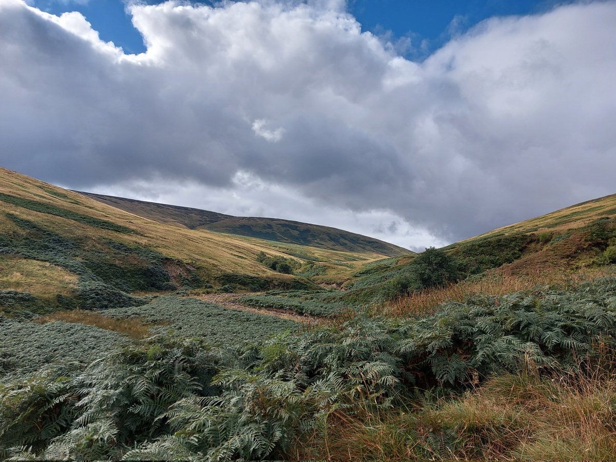 teesdaletweets's tweet photo. lovely circular walk up #Harthope valley to the #Cheviot Thanks @IamHappyHiker not too boggy! fantastic views #trigpoint #Northumberland #NationalPark @NFUCountryside @WalksAndWalking @countrywalking #waterfall https://t.co/3xv6zNcMzA