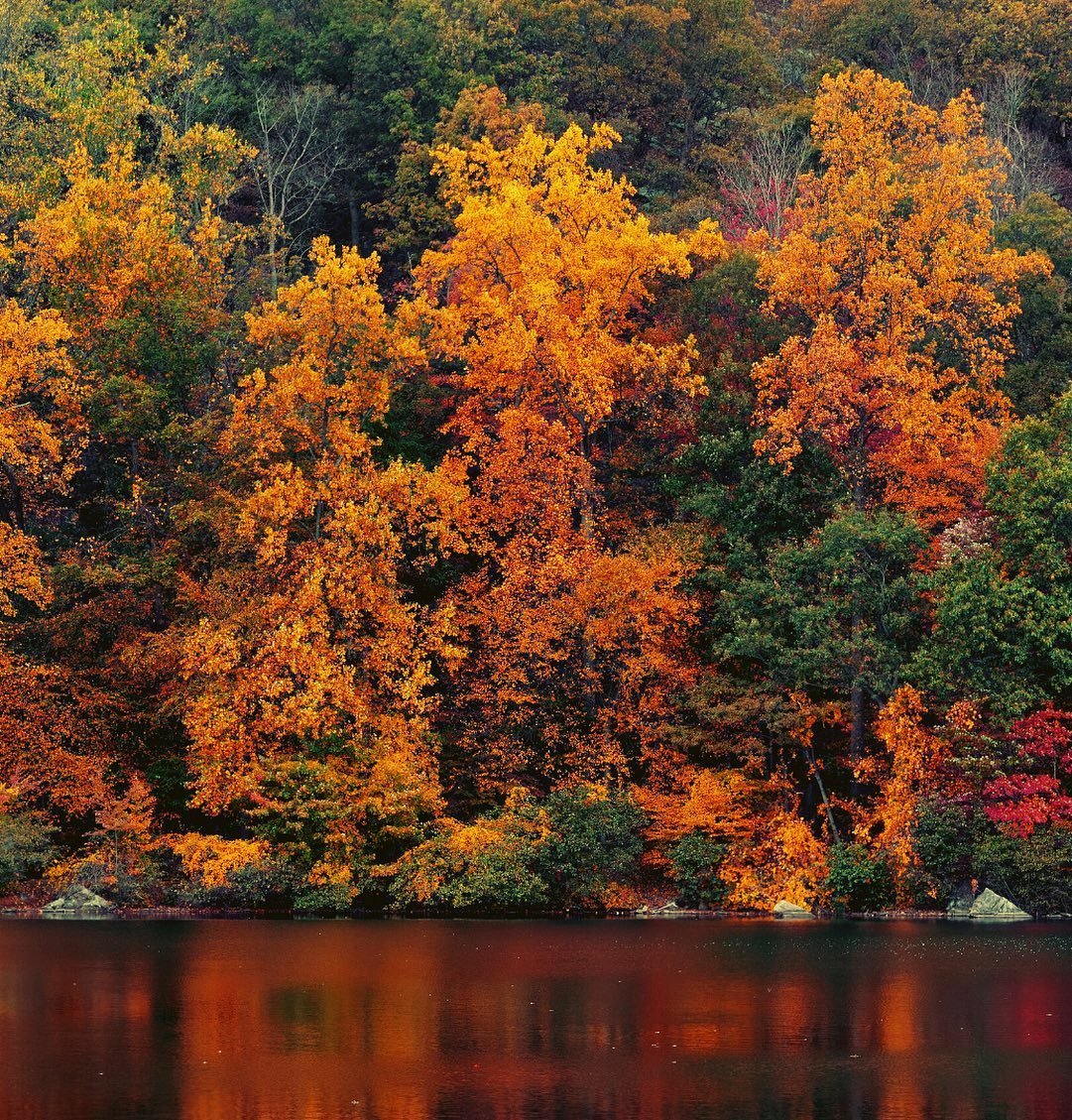 Bon premier jour d’automne! 🍂

📸 &amp; 📍 <a href="/DeerhurstResort/">deerhurstresort</a> 
#DécouvrezON