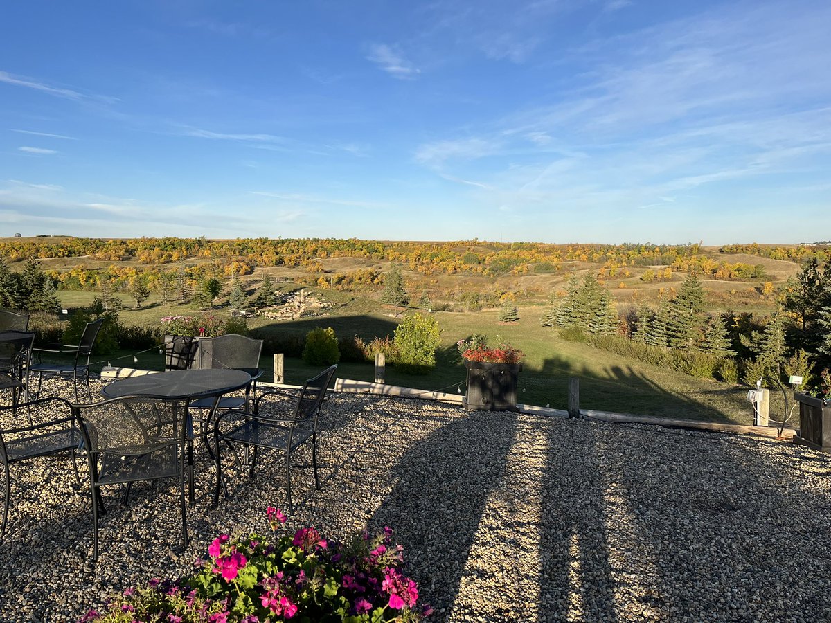 These fall colours won’t last long! Sip some wine on the patio, go for a picnic, pet some cats. We are open 10-5 Wed to Sun #fallcolours #yqr #lumsden