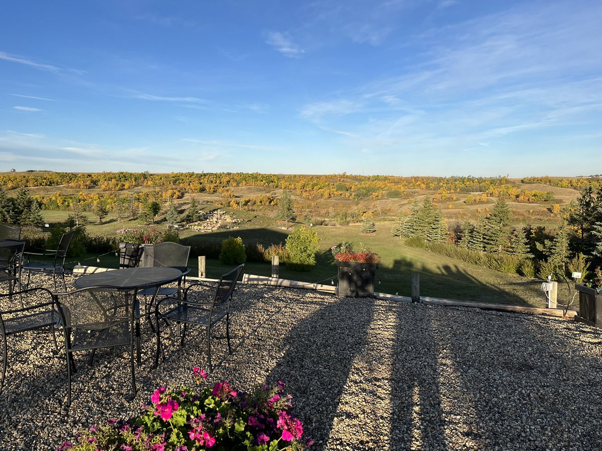 These fall colours won’t last long!
Sip some wine on the patio, go for a picnic, pet some cats.  We are open 10-5 Wed to Sun #fallcolours #yqr #lumsden