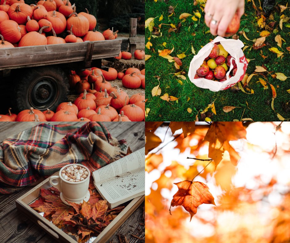 InsightWI's tweet photo. Oh my gourdness, we can't believe it's fall! 🍂🍁

What is your favorite fall activity? Apple picking, eating pumpkin-flavored things or cozying up by the fireplace? Let us know in the comments! 

#FirstDayOfFall #Fall #FallSeason https://t.co/aSleqhm2Xo