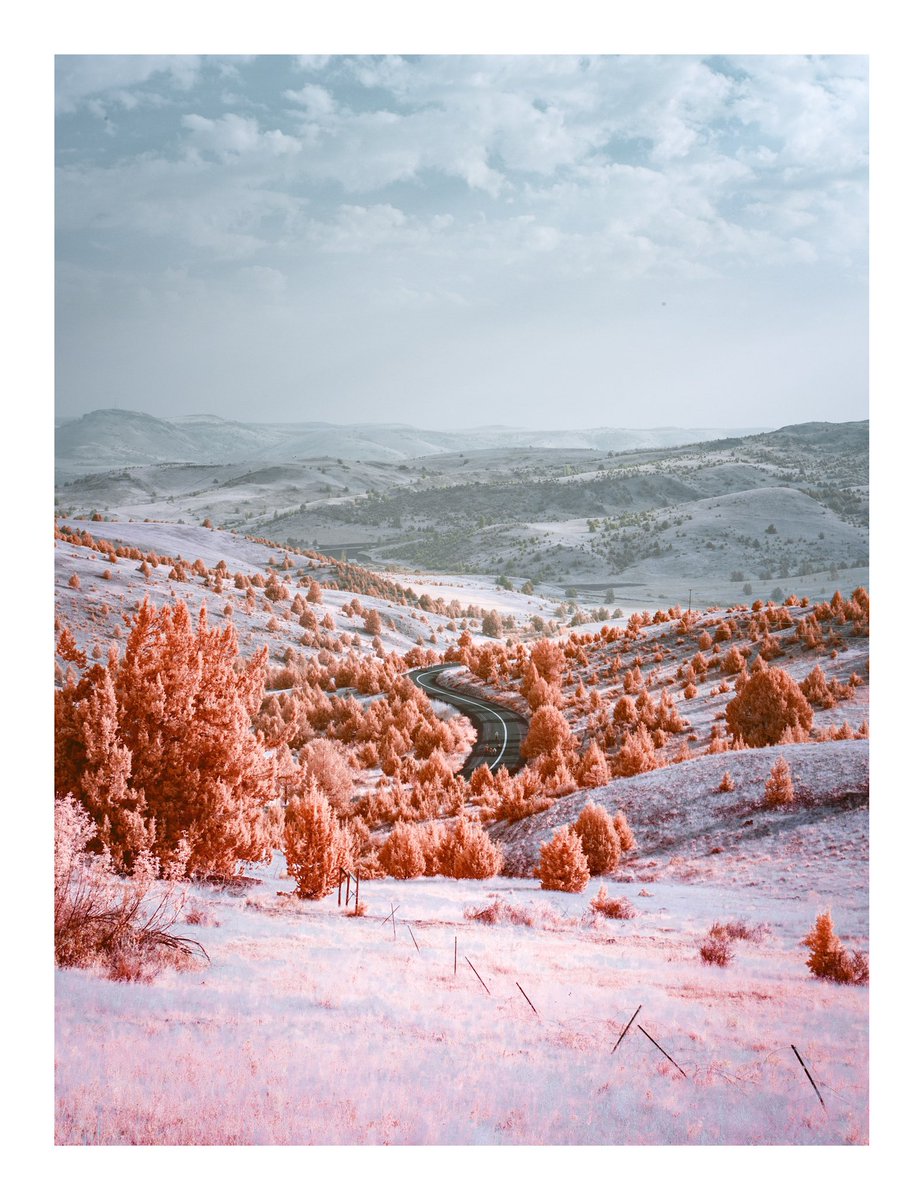 olhausenphoto's tweet photo. Road to Clarno in Infrared
.
.
.
#infrared #infraredphotography #infraredphoto #infrared_images #infraredimage #infraredimages #invisiblelight #infrared_global #infrared_photography #landscape #landscapephoto #landscapephotography #landscapeimage #canonlandscapephoto https://t.co/dnxEzKekai