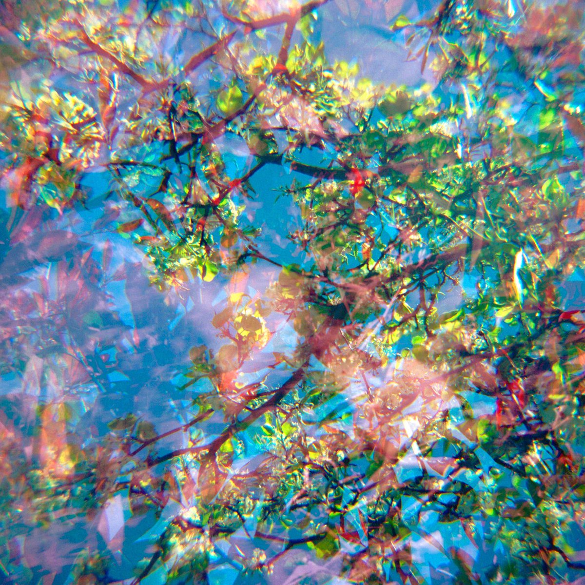 The artwork for tomorrow’s release ‘Don’t Bother Losing’ is one of many photographs I took in the last years. I’ve been experimenting with an old lomo camera and took multiple exposures on one film frame.