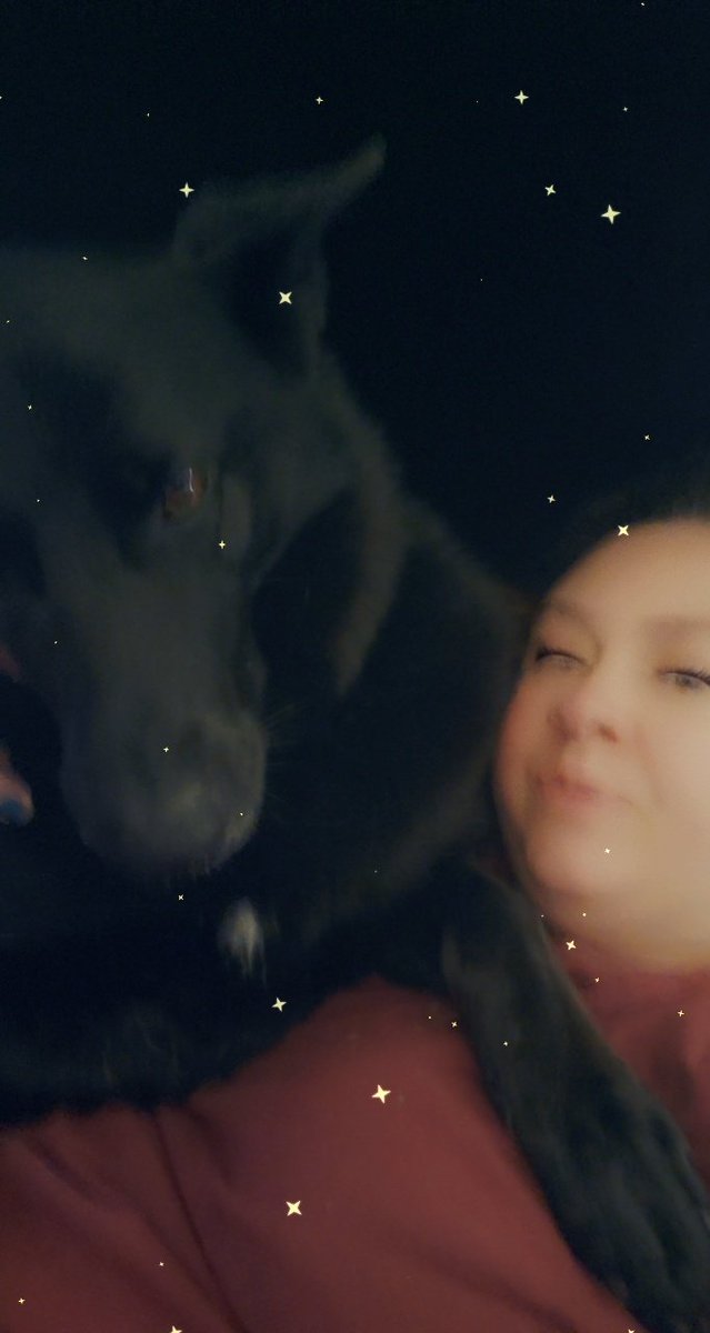 KatieLaydee87's tweet photo. Morning snuggles with my beautiful wolfpup princess, HarleeQuinn. She is her Momma's girl🐾🐾🖤❤️♦️♦️♦️🐺 #GermanShepherd #purebred #housewolf #HarleyQuinn #mommaslilpsycho #betterthandiamonds #girlsbestfriend https://t.co/b2IFf6uT25