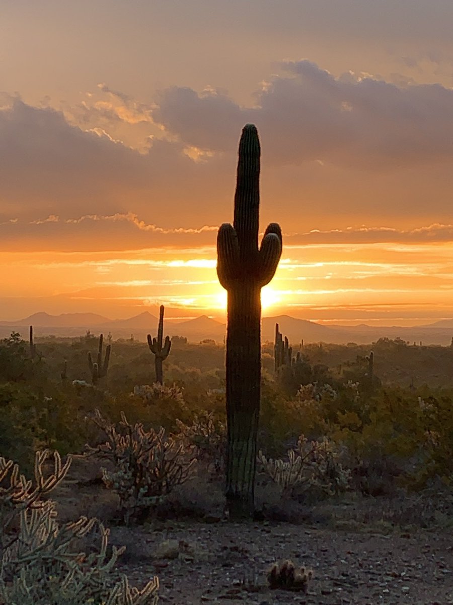 DougNintzel's tweet photo. Either that’s another great Arizona sunrise or we’ve got a “volcano issue” in the McDowell Mountains. Please drive safely near volcanoes or anywhere, for that matter. @ArizonaDOT @NWSPhoenix @Crossfire923 https://t.co/3s3BDM6XLj