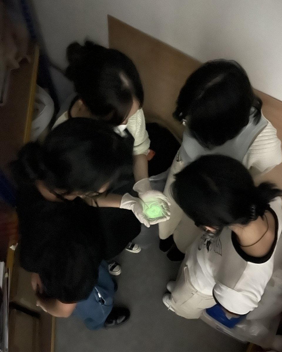 “With experimentation comes surprise and discovery.” - Kim-Lee Kho

Students excited about one student's experimental work.. So much fun experimenting in the Art &amp; Design studio 😃

#HISSixthform