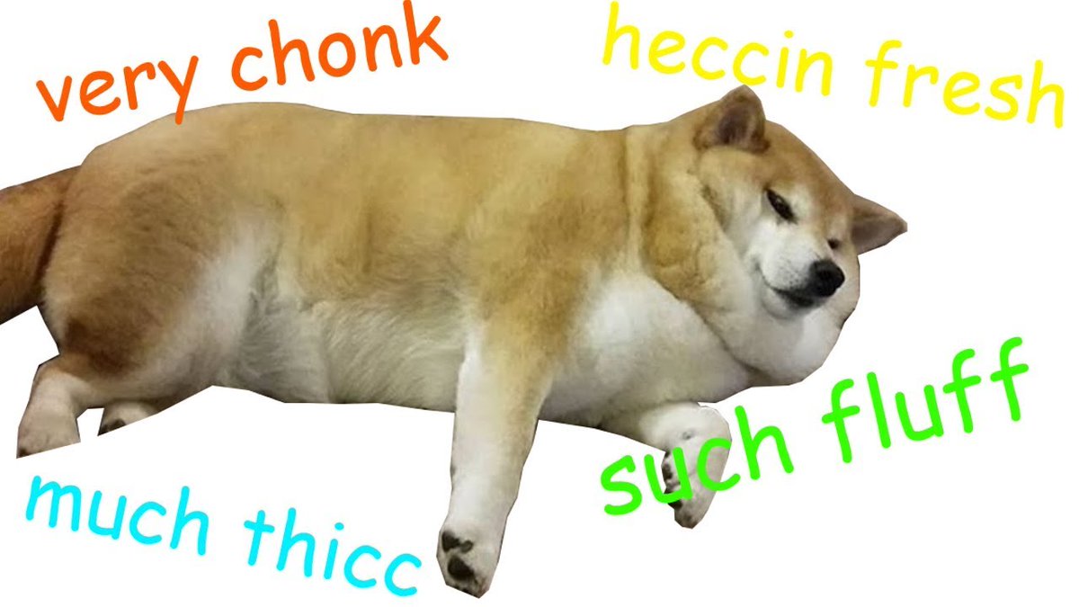 Chonkers Inu tweet media