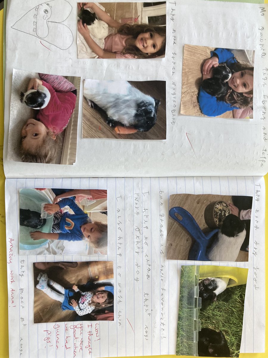 SullyPS's tweet photo. Such amazing home learning from #SPSyear2/3 this week. They have chosen different ways to present their homework about pets. Writing, video diaries and even photo collages! Diolch! #SPSscienceandtechnology #SPSresourceful https://t.co/oEimjCZBGW