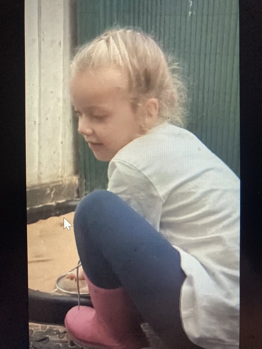 SullyPS's tweet photo. Such amazing home learning from #SPSyear2/3 this week. They have chosen different ways to present their homework about pets. Writing, video diaries and even photo collages! Diolch! #SPSscienceandtechnology #SPSresourceful https://t.co/oEimjCZBGW