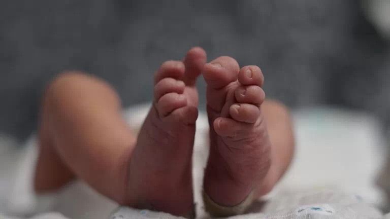 FundameNet's tweet photo. Gran noticia!! Galicia incluye la AME en la prueba del talón de los recién nacidos, lo que permitirá el tratamiento temprano y disminuirá la discapacidad y las muertes. https://t.co/H1nAq64Gat #Cribadoneonatal #AME #StopAME #Galicia https://t.co/qiXZyhkeXb