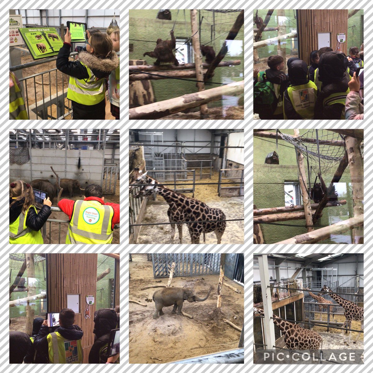 We’ve had a great day learning about the animals at @BlackpoolZoo @StJamesChorley