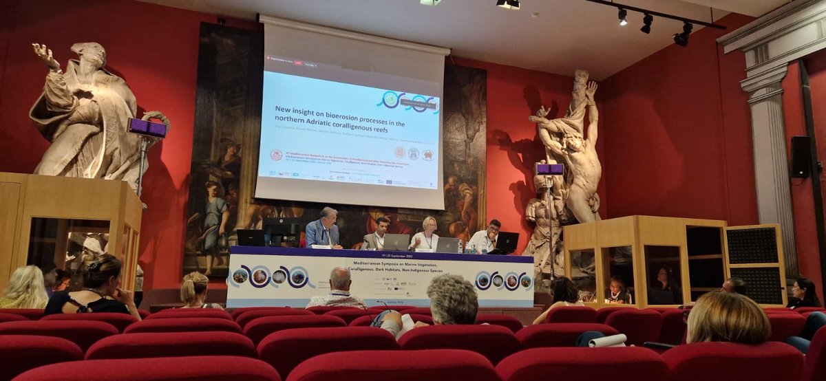 Evuz12's tweet photo. Great symposium @SPARACinfos #Medsymposium where I’ve the occasion to see friends, meet new ones, listen outstanding talks and have a talk myself about #bioerosion #CTomography #northadriaticsea https://t.co/dthJFip6im