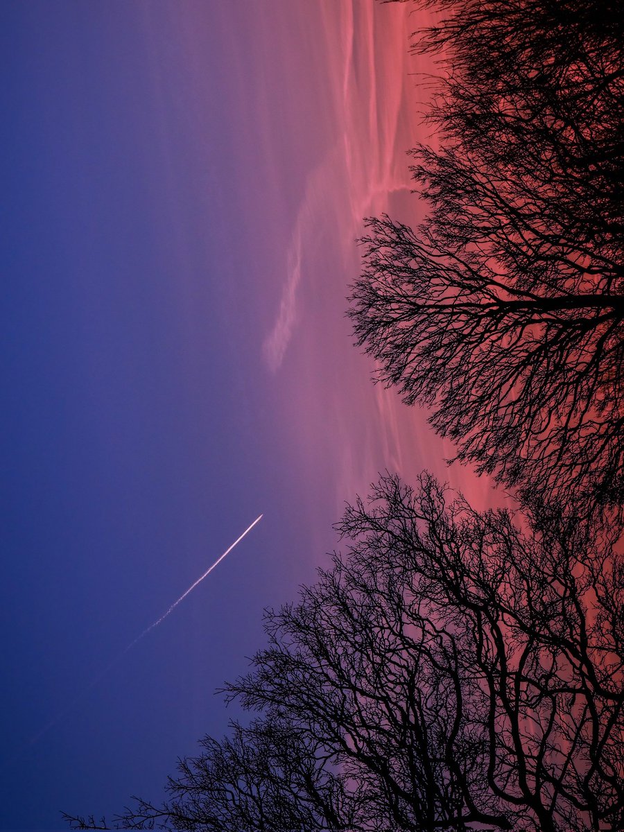 jjays_captions's tweet photo. Photographers show me WHAT YOU SEE WHEN YOU LOOK UP☝️ 📸

I will start 

Let's support one another

Retweeting all 🔃
#photography #photo #photographer https://t.co/FLzronaHF6