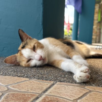 DiGooBar's tweet photo. #NewProfilePic (新個人資料照片) https://t.co/K3DoSAx5vy